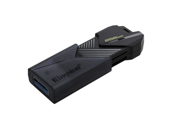 Kingston FD 256GB Onyx; - Image 2