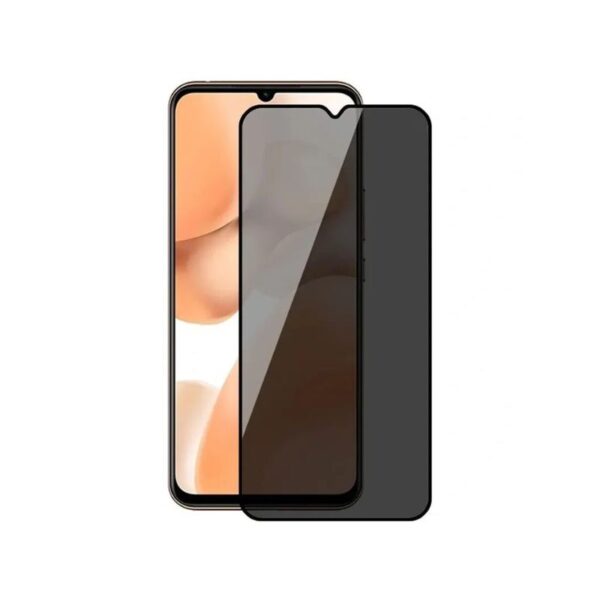 Zastitno staklo Samsung S22+ PRIVACY